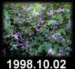 1998.10.02