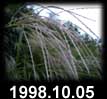 1998.10.05