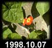 1998.10.07