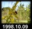 1998.10.09