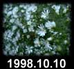 1998.10.10