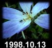 1998.10.13