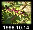 1998.10.14