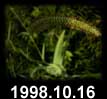 1998.10.16