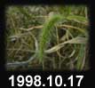 1998.10.17
