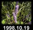 1998.10.19