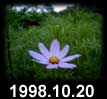 1998.10.20