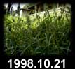 1998.10.21