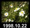 1998.10.22