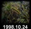 1998.10.24