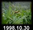 1998.10.30