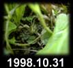 1998.10.31