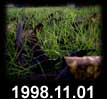 1998.11.01