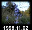 1998.11.02