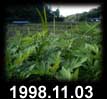 1998.11.03