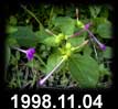98.11.04