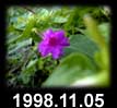 1998.11.05