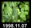 1998.11.07