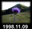 1998.11.09