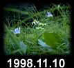 1998.11.10