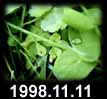 1998.11.11