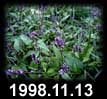 1998.11.13