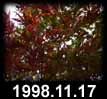 1998.11.17