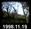 1998.11.19