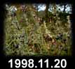 1998.11.20