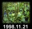 1998.11.21