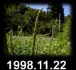 1998.11.22