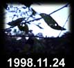 1998.11.24