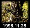 1998.11.28