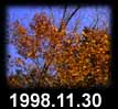 1998.11.30