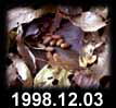 1998.12.03