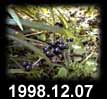 1998.12.07