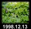 1998.12.13