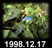 1998.12.17