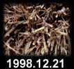 1998.12.21
