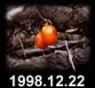 1998.12.22