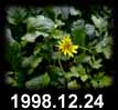 1998.12.24