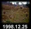 1998.12.25