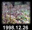 1998.12.26