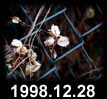 1998.12.28