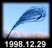 1998.12.29