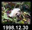1998.12.30