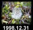 1998.12.31