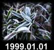 1999.01.01
