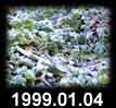 1999.01.04
