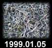 1999.01.05